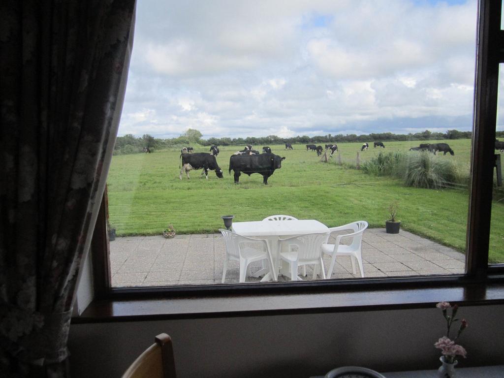 Vila Greenfields Farmhouse Ballylongford Pokoj fotografie